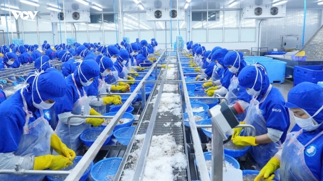 Đơn hàng tăng, doanh nghiệp tại Đà Nẵng tuyển thêm lao động