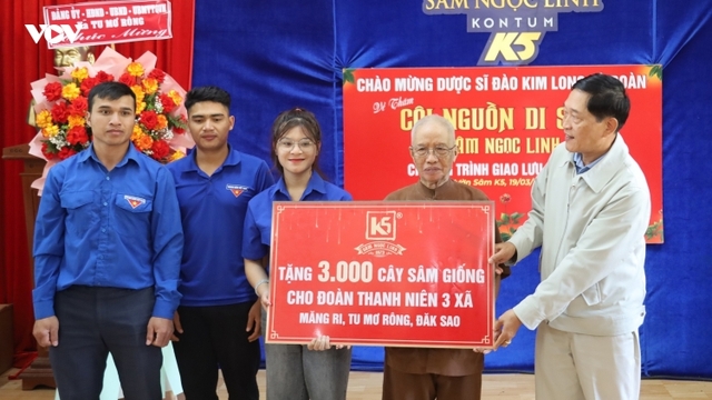 Hỗ trợ giống cây sâm Ngọc Linh giúp thanh niên Quảng Ngãi khởi nghiệp