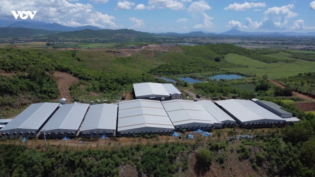 Khánh Hòa yêu cầu xử lý dứt điểm trại heo không phép, xả thải quá 10 lần quy chuẩn