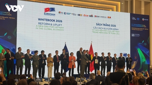 EU to channel EUR560 mln into Vietnam, prioritising modern transport, clean energy