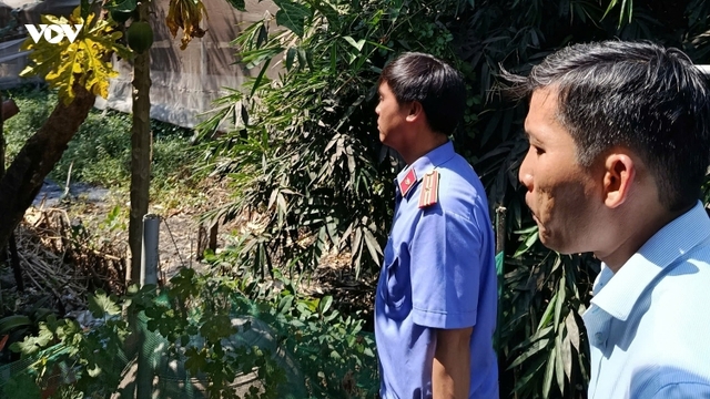 Viện kiểm sát vào cuộc vụ trại chăn nuôi gây ô nhiễm sau phản ánh của VOV