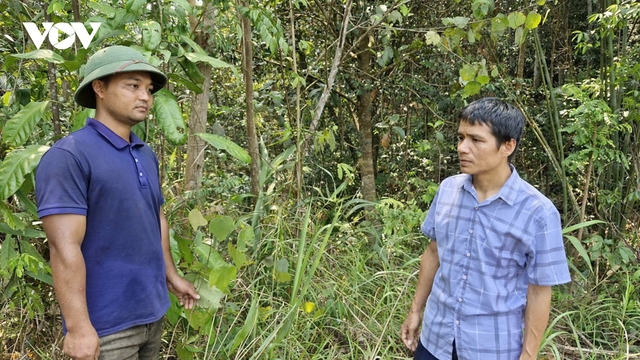 Đà Nẵng nâng cao trách nhiệm, kiểm soát chặt nguy cơ cháy rừng