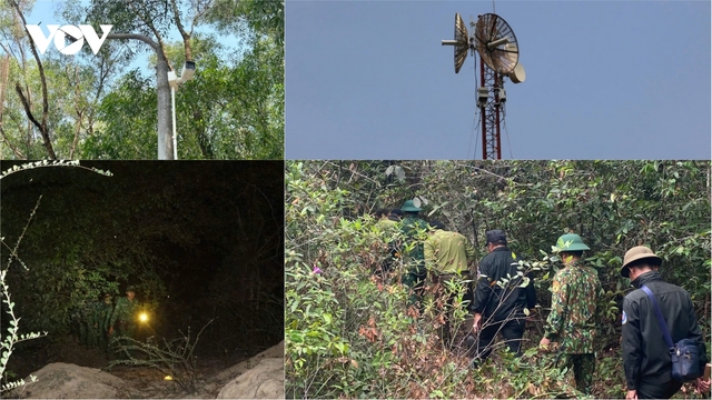 Căng mình trước mùa khô 2026, rừng Lò Gò-Xa Mát cần thêm lá chắn công nghệ