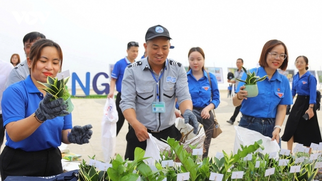 Tuổi trẻ Đà Nẵng chung tay làm sạch bãi biển