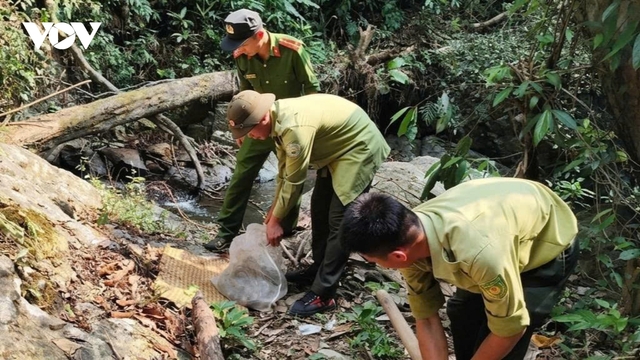 Người dân Lâm Đồng tự nguyện giao nộp động vật quý hiếm, thả về rừng