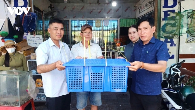 Kỳ đà hoa quý hiếm bò vào phòng ngủ, người dân bắt giao nộp