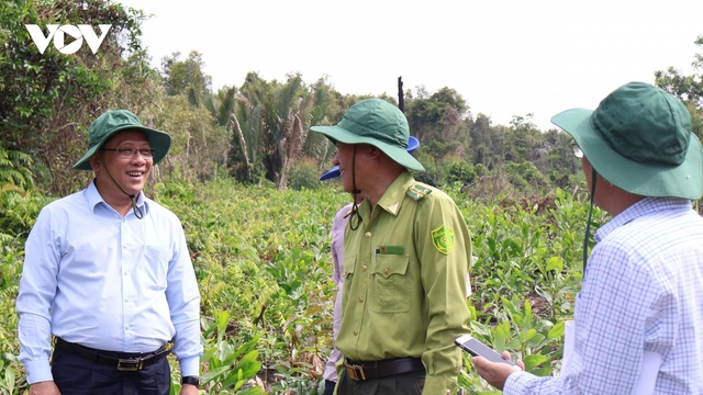 Cần Thơ nâng cấp cảnh báo cháy rừng lên cấp nguy hiểm