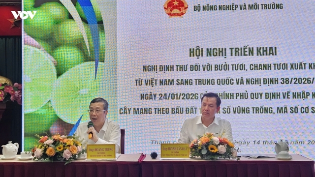 Xuất khẩu bưởi, chanh sang Trung Quốc: Gỡ nghẽn mã số vùng trồng