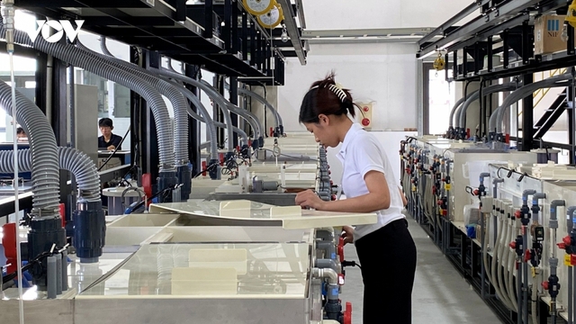 Đổi mới tư duy về phát triển nguồn nhân lực cho tăng trưởng 2 con số