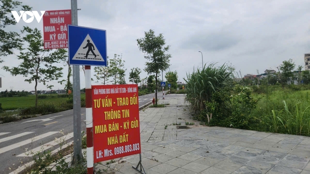 Giá đất tái định cư Thư Lâm (Hà Nội) tăng “nóng”, chính quyền cảnh báo giao dịch