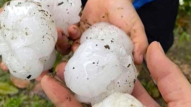 Mưa đá, dông lốc gây thiệt hại tại nhiều địa phương ở Nghệ An