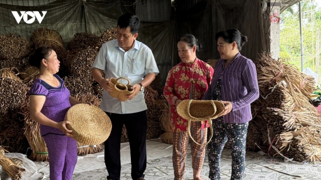 Làm giàu từ cọng lục bình trôi nổi