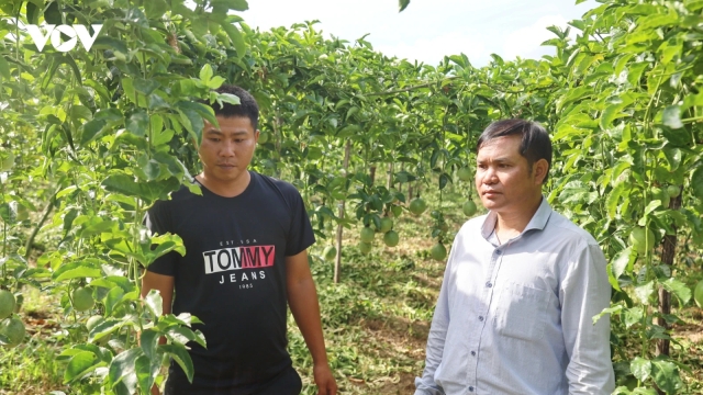 Tiếp sức cho cơ sở, nâng cao năng lực thực thi