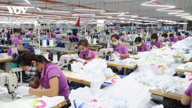 Thị trường lao động 2026: Cơ hội rộng mở, áp lực cũng tăng cao
