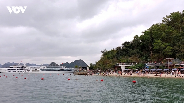 Quảng Ninh siết an toàn trước bão số 1, tạm dừng tàu lưu trú trên vịnh Hạ Long