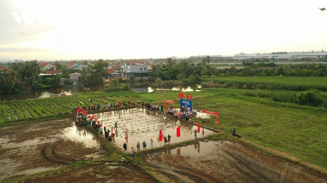Rộn ràng ngày hội xuống đồng trên đảo Hà Nam ở Quảng Ninh