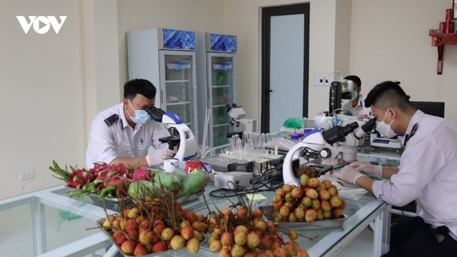 Sustaining Middle East market for Vietnamese farm produce through FTAs
