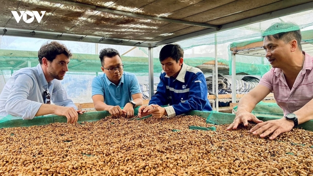 Đắk Lắk xuất khẩu nông, lâm, thủy sản hơn 2,3 tỷ USD trong 9 tháng