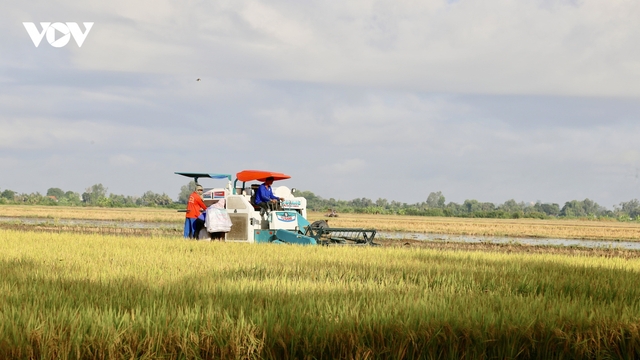 Nông nghiệp đóng vai trò trụ đỡ của nền kinh tế, đóng góp hơn 11% GDP