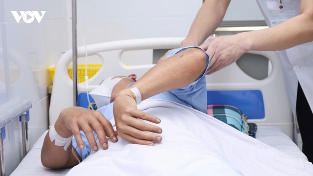 Hai vợ chồng ở Nghệ An bị ong đốt, phải nhập viện cấp cứu