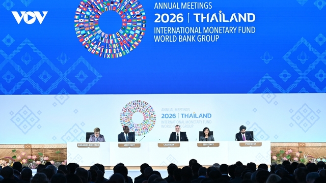 IMF-WB 2026: Nỗi lo khủng hoảng 800 triệu việc làm cho giới trẻ