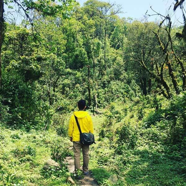 Primitive forest attracts trekkers. Photo metrip.vn