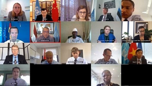 At the online meeting held by the UN Security Council (Photo: VNA)