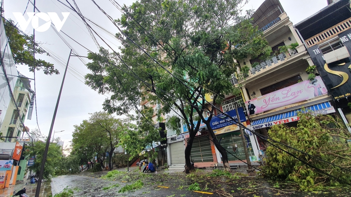 Fallen trees cause electrical wires and telecommunications cables to fall down