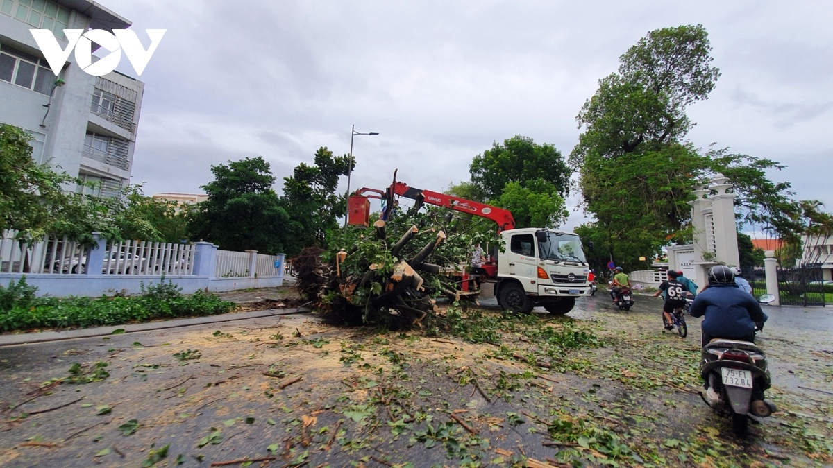 Traffic Police and environmental workers rush to the scene to swiftly clean up fallen trees and ensure traffic safety.