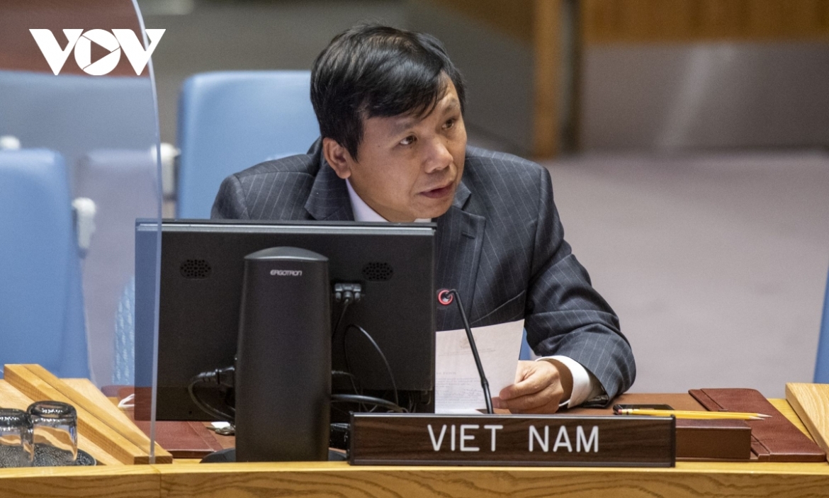 Ambassador Dang Dinh Quy, head of the Vietnamese permanent mission to the UN speaks at a meeting of the United Nations Security Council (UNSC) 
