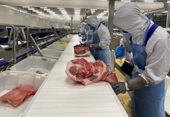 Workers process meat at the MEATDeli Saigon plant in Duc Hoa district, Long An province (Photo: https://tuoitrenews.vn/)