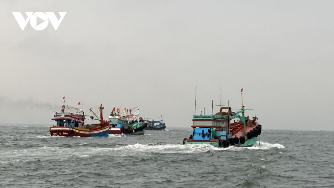 Early in the morning on October 2 many boats prepare to participate in the Nghinh Ong festival.
