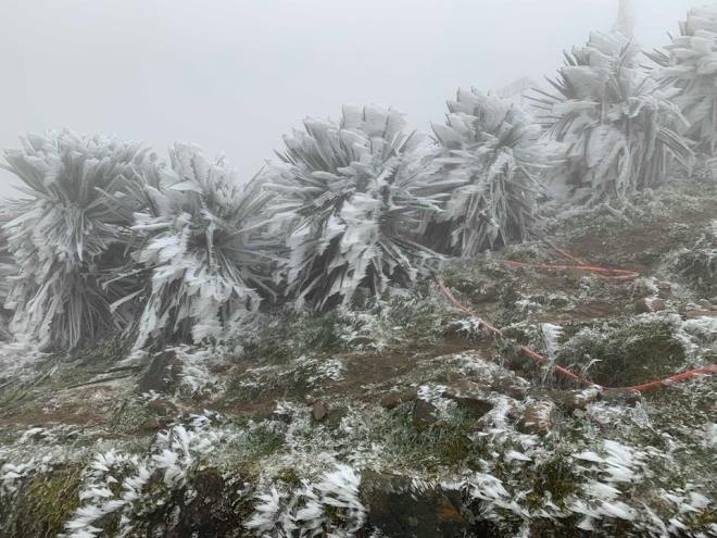 Mau Son could be covered with frost due to the first strong cold spell of this winter.