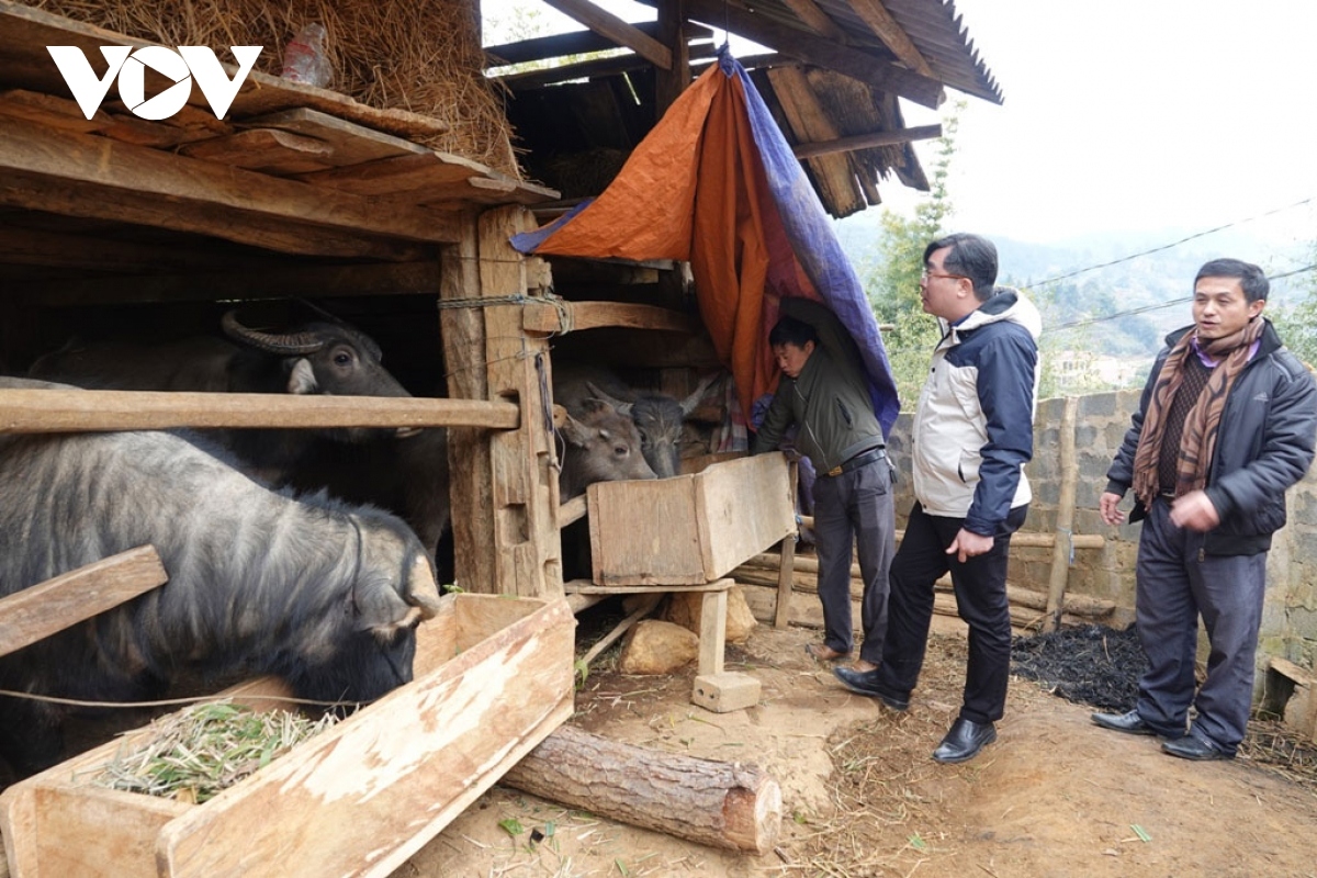 Local authorities provide detailed guidance for local people in order to take precautionary measures for livestock breeding.