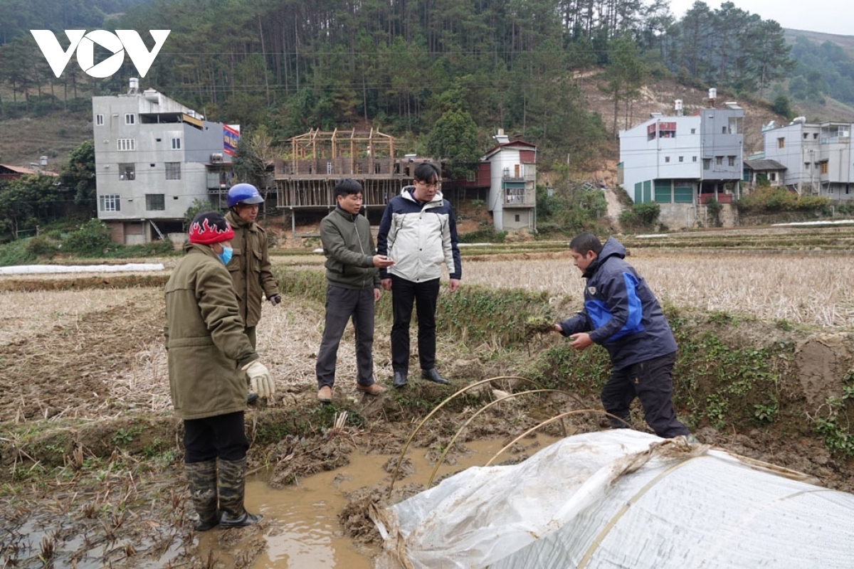 The measures include farmers being urged to prepare their winter-spring rice crop for this year.