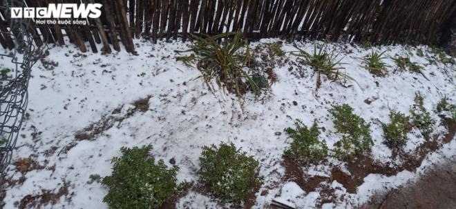 Snowfall becomes thicker on the morning of January 11.