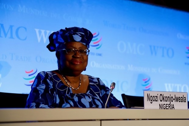 New General Director of the WTO Dr. Ngozi Okonjo – Iweala (Photo: VNA)