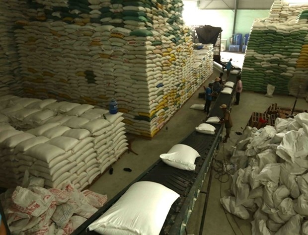 Rice for export being stockpiled at SongHau Food Company in Can Tho city