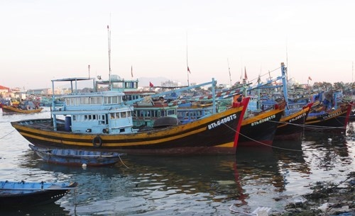 Binh Thuan's fishing vessels