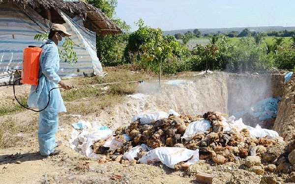 Illustrative image (Photo: Lao Dong (Labour) online newspaper)