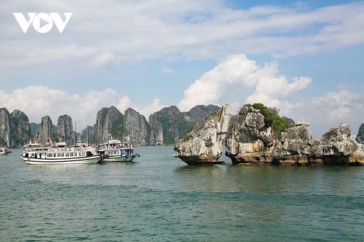 Ha Long Bay is the most attractive destination in Quang Ninh province