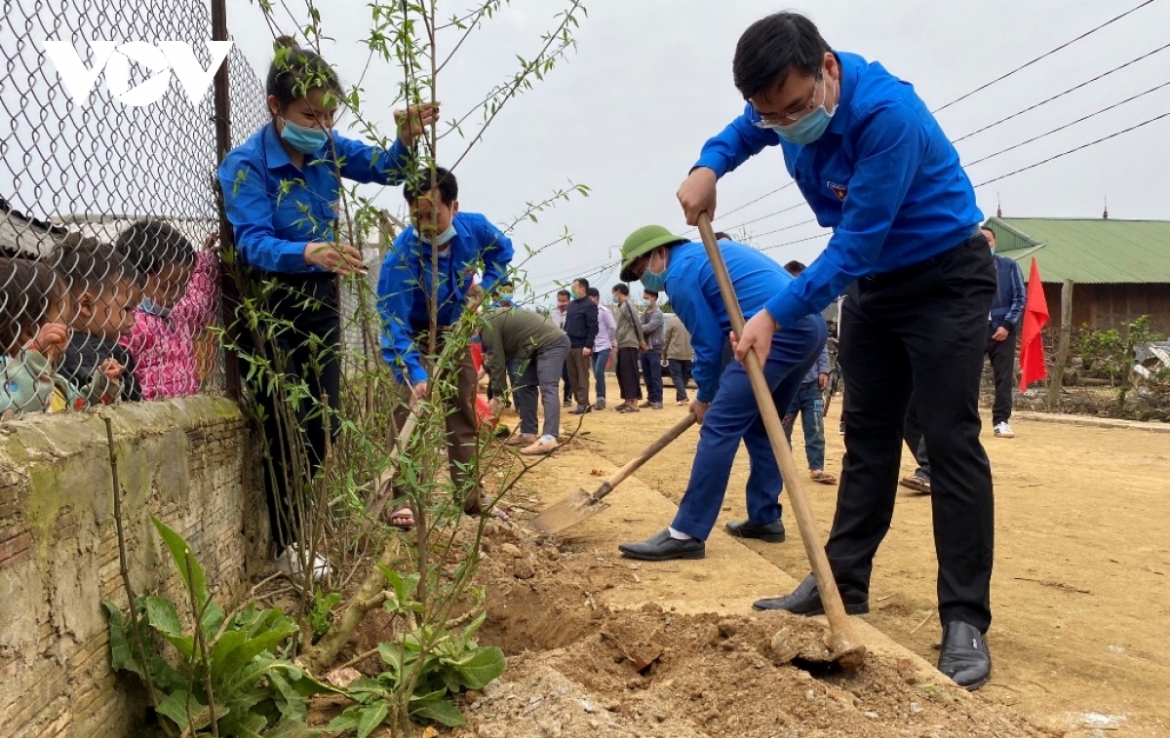 Participants plant 1,000 peach trees as part of efforts to beautify the mountainous area and help boost the local tourism industry.