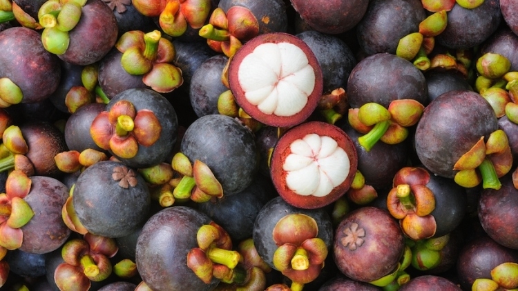 Mangosteen is one of the types of fruit has seen an increase in imports from Russia