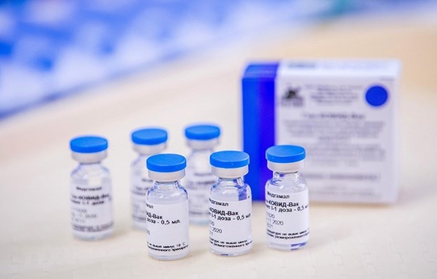 Russia has agreed to provide Vietnam with 20 million doses of its coronavirus vaccine Sputnik V this year. (Photo: AFP/VNA)