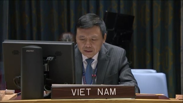 Ambassador Dang Dinh Quy, head of the Vietnam Mission to the United Nations. (Photo: VNA)