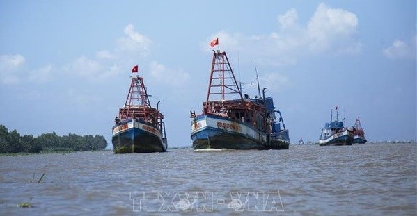 Kien Giang aims to end IUU fishing in 2021