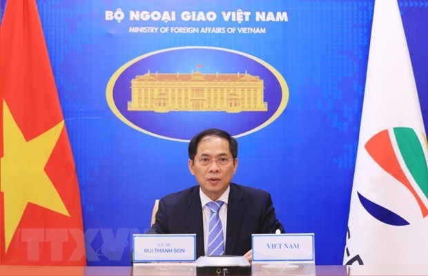 Foreign Minister Bui Thanh Son at the event (Photo: VNA)