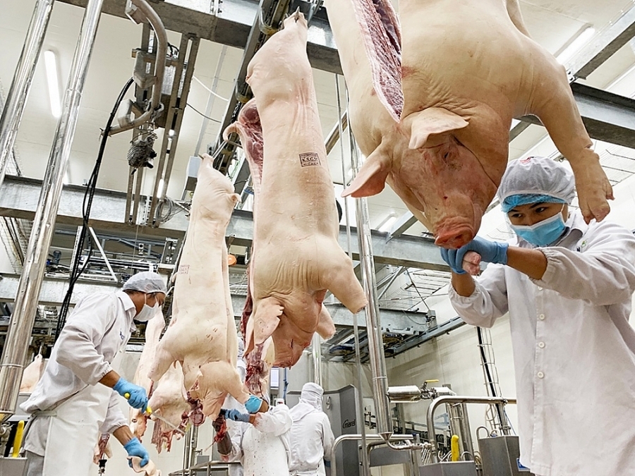 Livestock exports surge during eight-month period