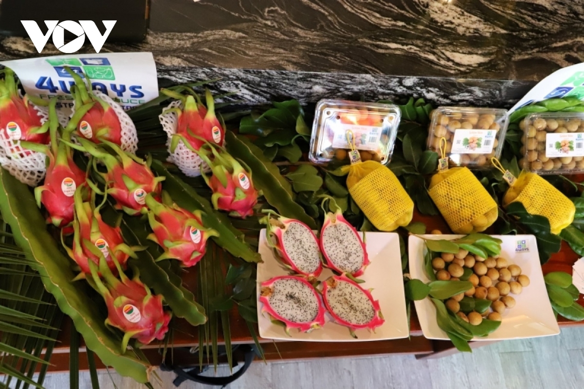 Several types of Vietnamese fresh fruit are introduced at the event.