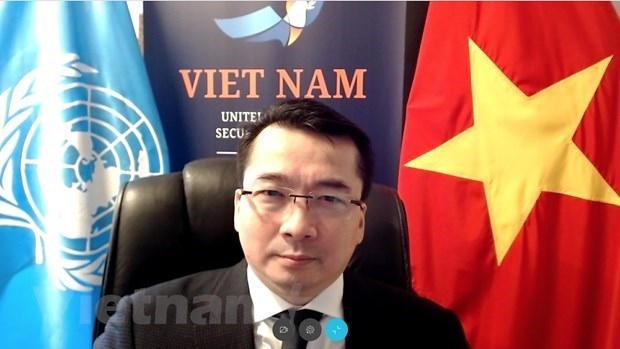 Ambassador Pham Hai Anh, Deputy Permanent Representative of Vietnam to the UN (Photo: VNA)